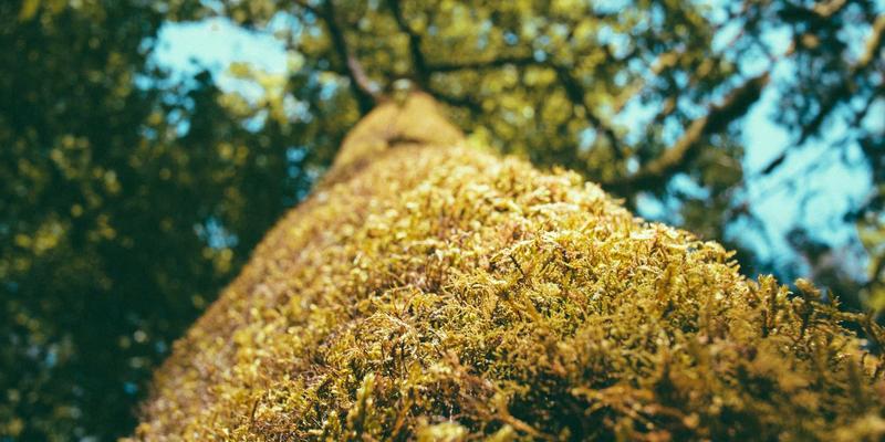 专业测量仪器如何“延寿”？长沙宏发工具：定期校准与维护是关键