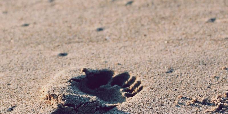 长沙宏发工具:专业售后网点与保修政策全解析,让您的安全防护与五金电动工具投资更有保障