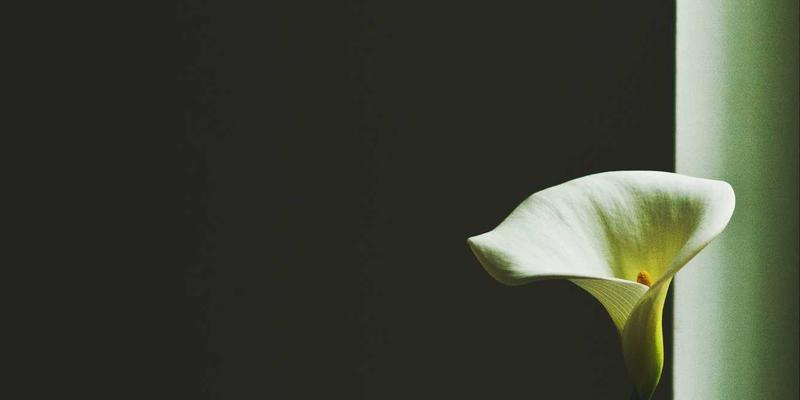 长沙宏发工具：从精密测量到深度清洁，为工业与装修后环境提供专业级解决方案